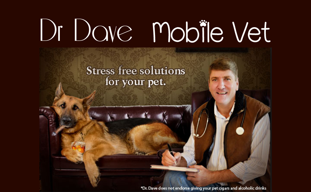 mobile vet services gympie