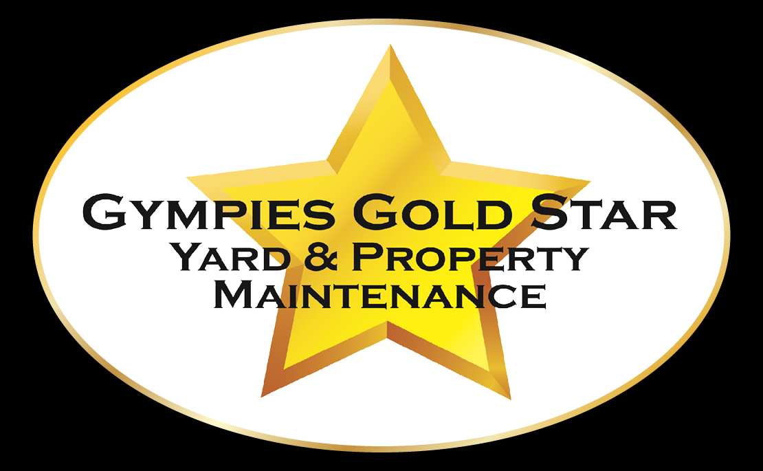 Yard and Property maintenance