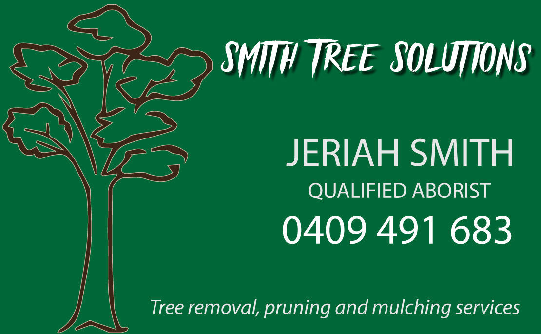 Tree removal, pruning and mulching Gympie